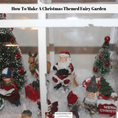 A closeup view of the inside of the Christmas themed fairy garden.