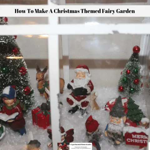 A closeup view of the inside of the Christmas themed fairy garden.