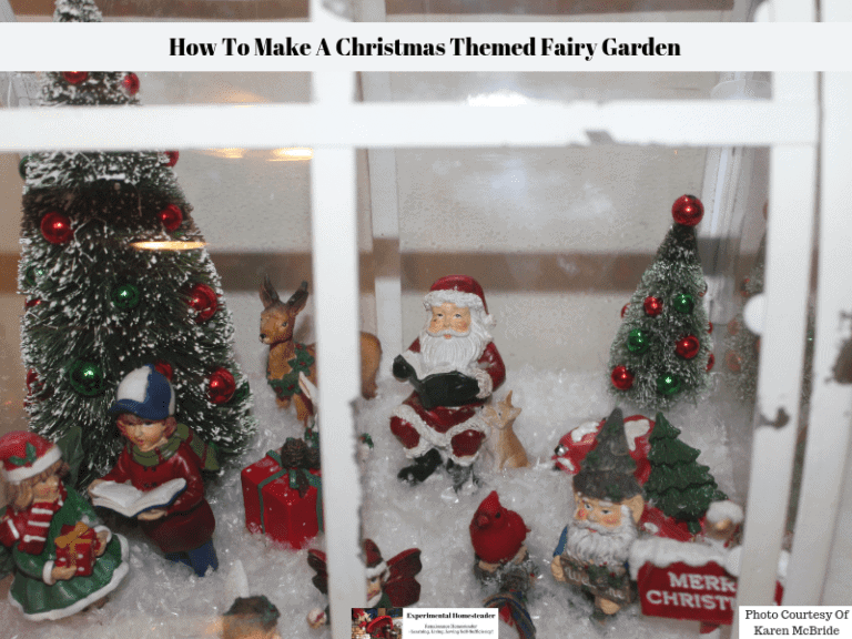 A closeup view of the inside of the Christmas themed fairy garden.
