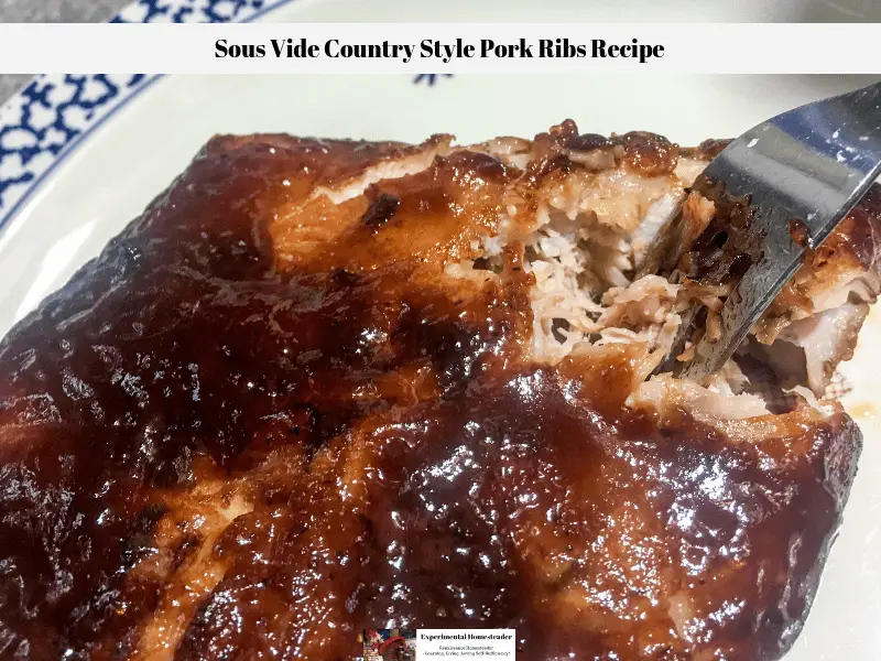 The cooked sous vide country style pork ribs with carmalized BBQ sauce on a plate with a fork inserted to break the meat apart.