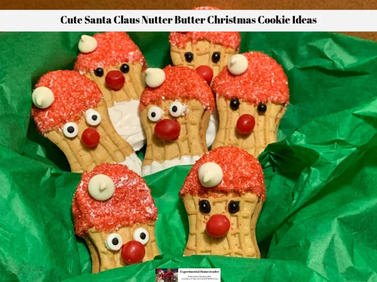 Cute Santa Claus Nutter Butter Christmas Cookie Ideas tucked into a dish nestled among tissue paper.