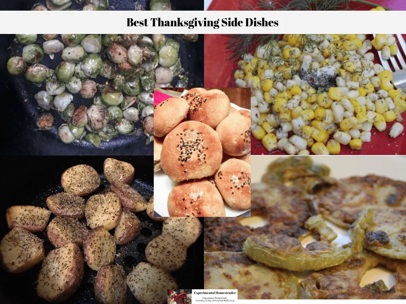 A collage of the best Thanksgiving side dishes.