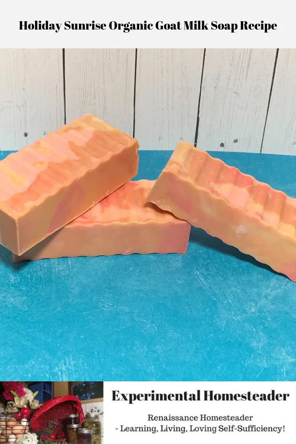 The Holiday Sunrise Organic Goat Milk Soap cure and ready for use.