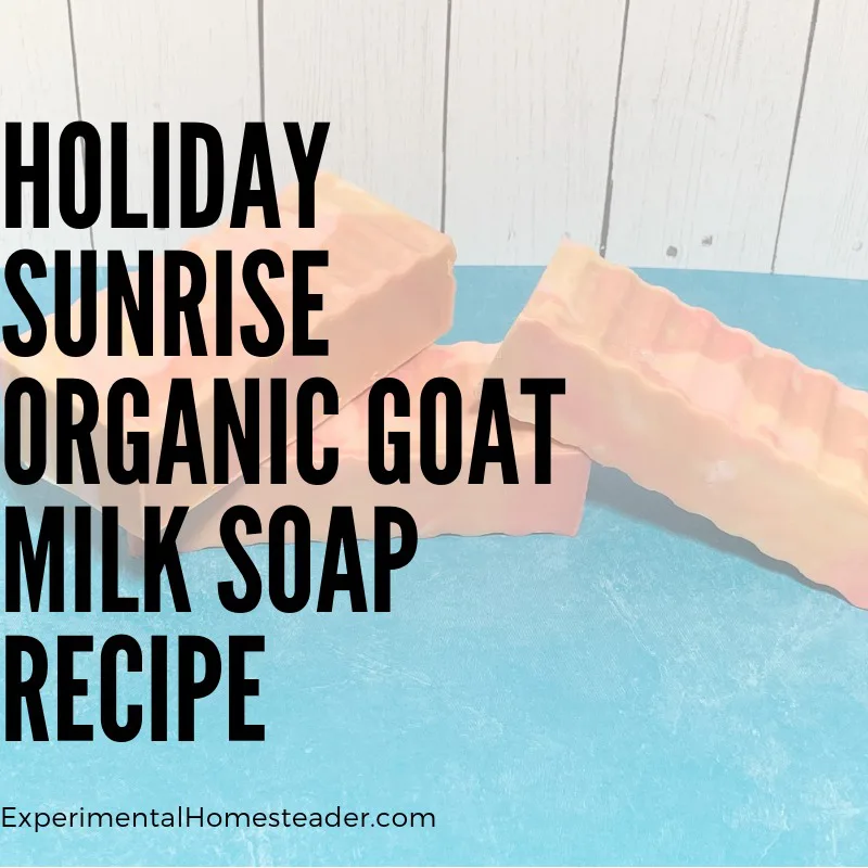 The Holiday Sunrise Organic Goat Milk Soap cure and ready for use.