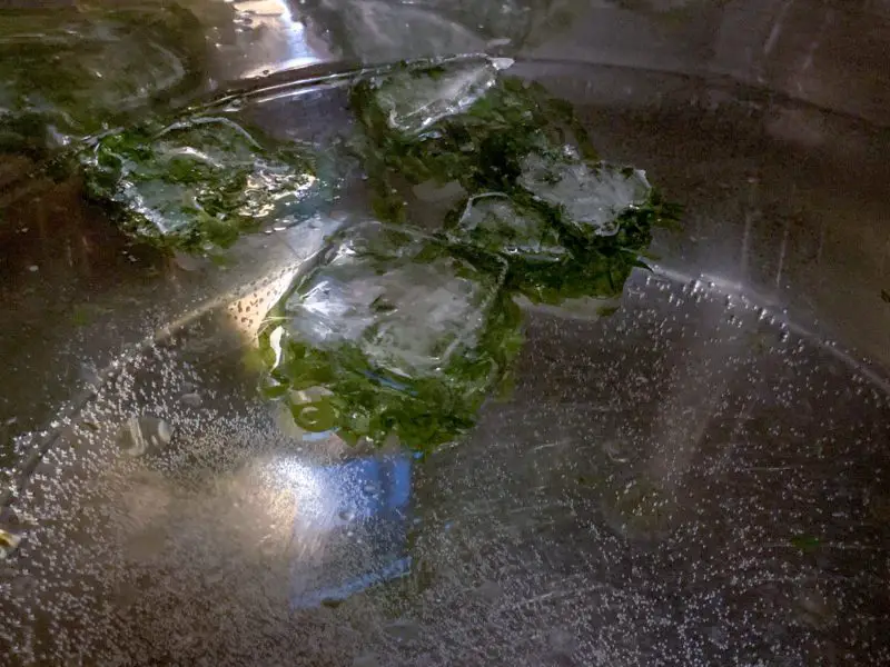 The basil ice cubes in the water being brought to a boil for the lasagna noodles.