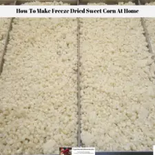 Harvest Right Home Freeze Dryer, Drying - Lehman's