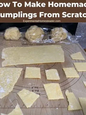 Rolled dumpling dough cut into squares on a pastry board with dough balls, labeled “How To Make Homemade Dumplings From Scratch.”