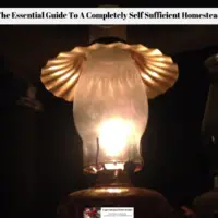 The Essential Guide To A Completely Self Sufficient Homestead