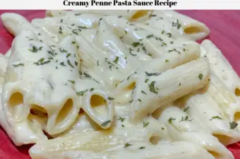 The creamy pasta sauce on the penne pasta on a plate, dusted with parsley and ready to eat.
