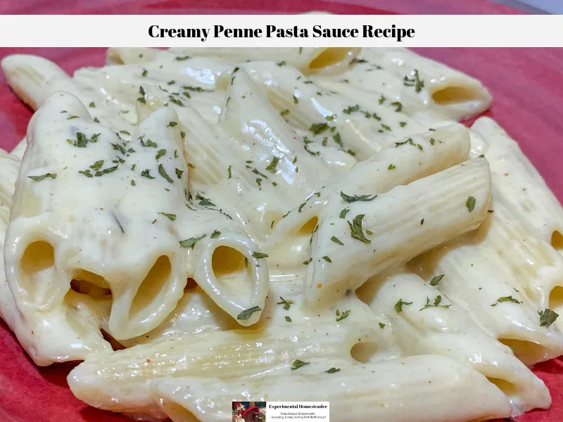 The creamy pasta sauce on the penne pasta on a plate, dusted with parsley and ready to eat.