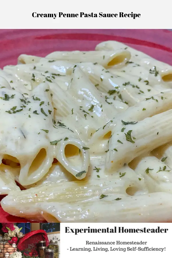 The creamy pasta sauce on the penne pasta on a plate, dusted with parsley and ready to eat.