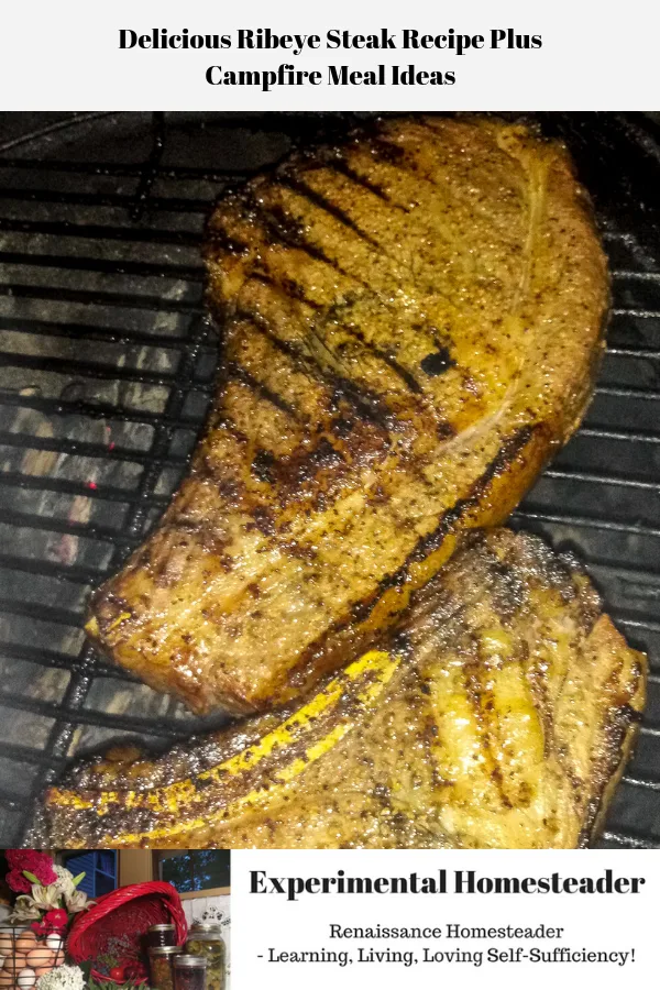 Ribeye steaks cooking over an open fire.