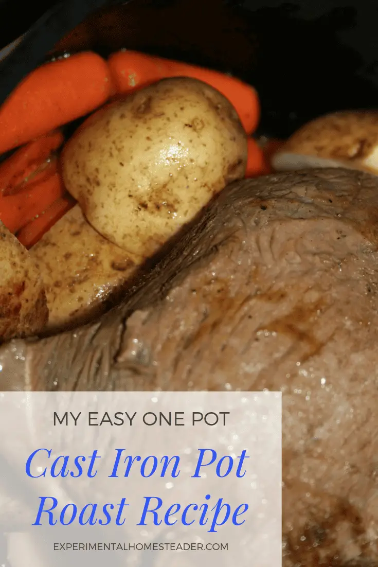 Easy One Pot Cast Iron Pot Roast Recipe Experimental Homesteader