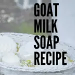 Bars of molded goat milk soap in a white basket.