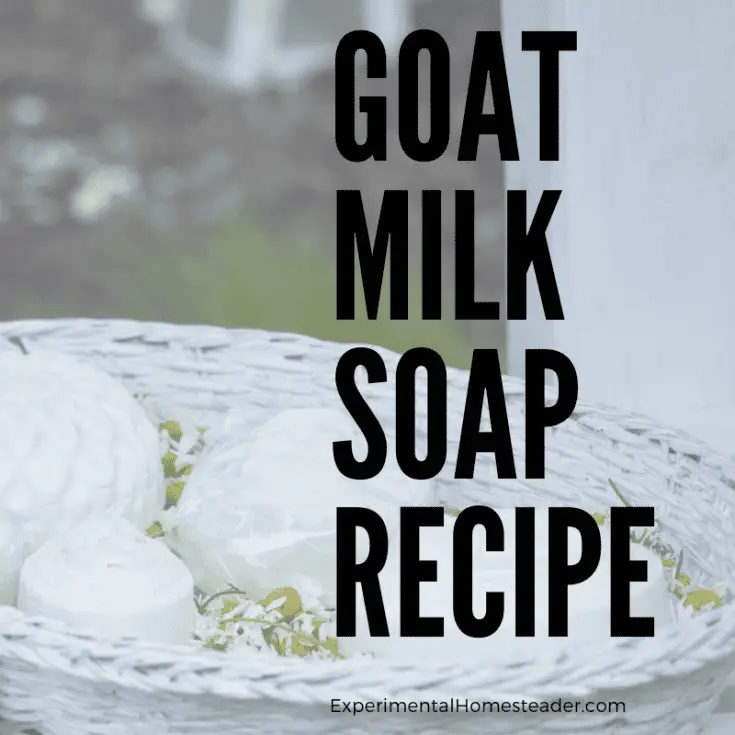 Goat Milk Laundry Soap Recipe Experimental Homesteader