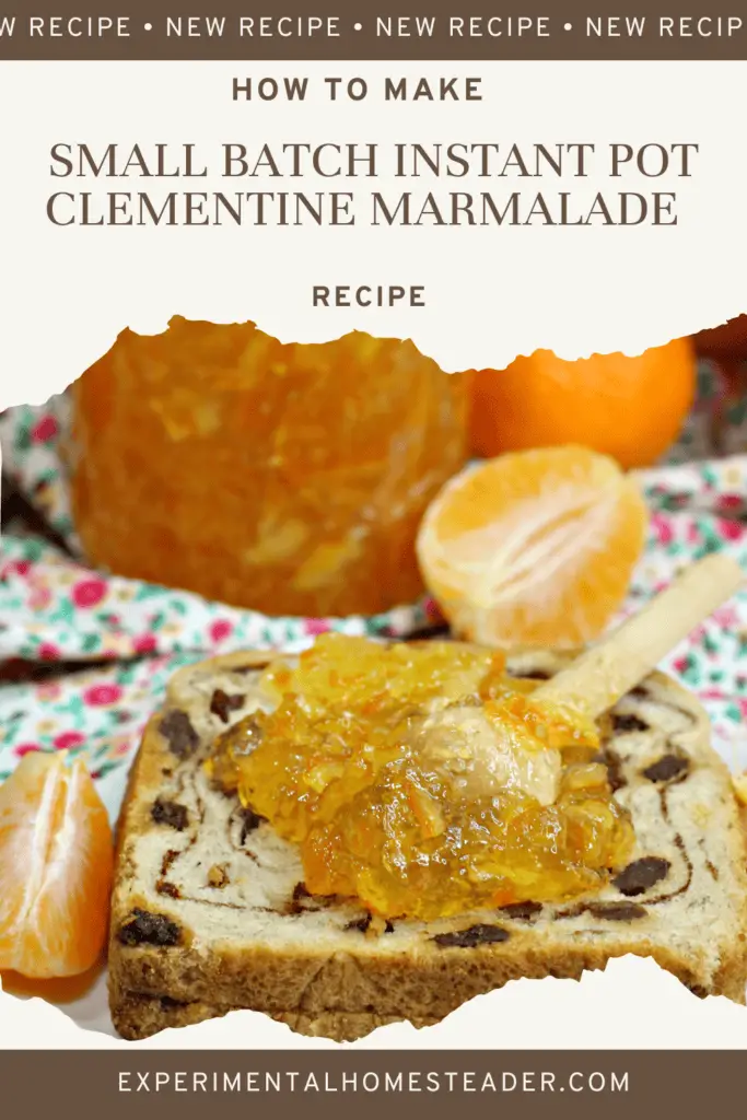 Small Batch Instant Pot Clementine Marmalade Recipe Experimental