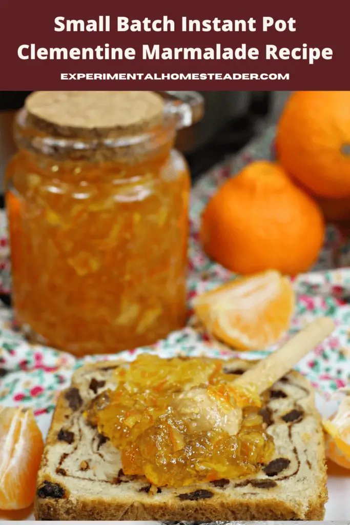 Small Batch Instant Pot Clementine Marmalade Recipe Experimental