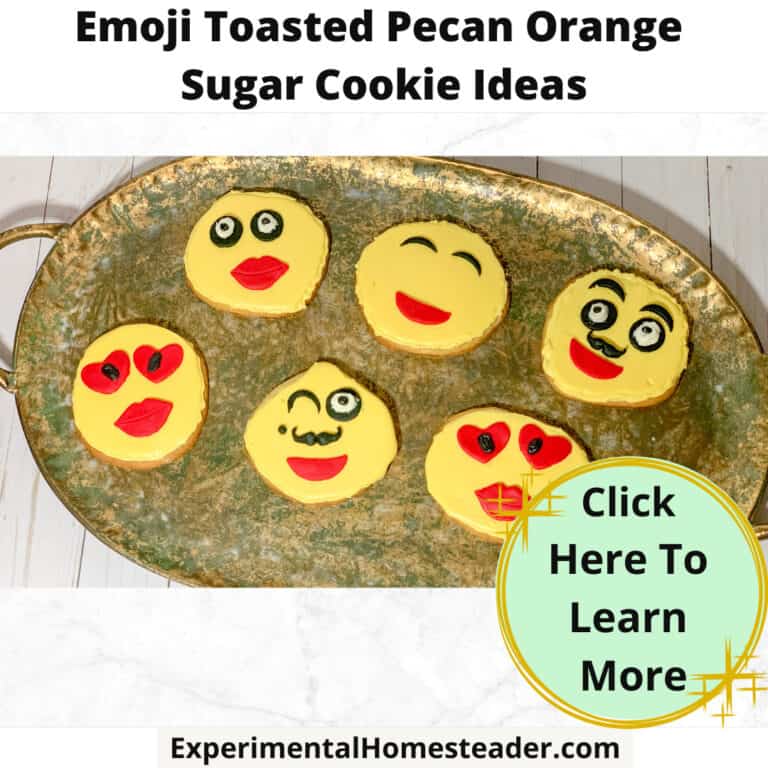 Emoji toasted pecan orange sugar cookie ideas decorated with colorful icing faces.