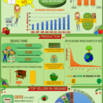 An infographic showing organics by the numbers.