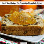 The Clementine Marmalade Recipe spread on a piece of cinnamon raisin bread.