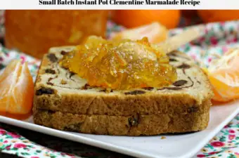 The Clementine Marmalade Recipe spread on a piece of cinnamon raisin bread.