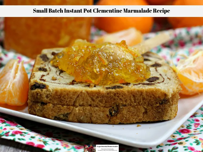 The Clementine Marmalade Recipe spread on a piece of cinnamon raisin bread.