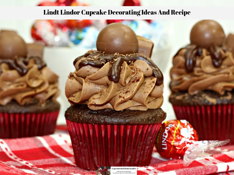 The cupcake decorated with Lindt Lindor chocolates ready to eat.