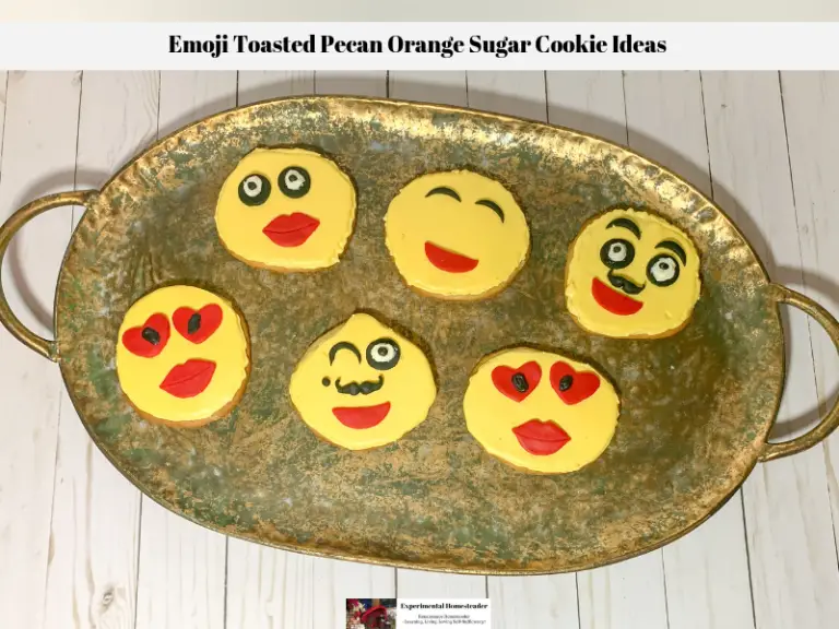 Decorated emoji sugar cookie ideas laid out on a platter.