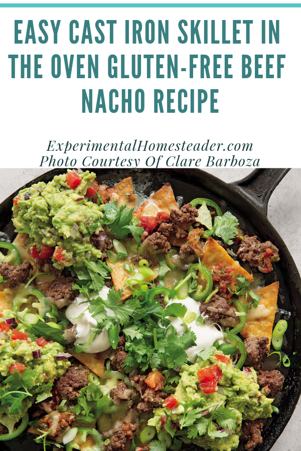 The beef nachos ready to serve in a cast iron skillet.