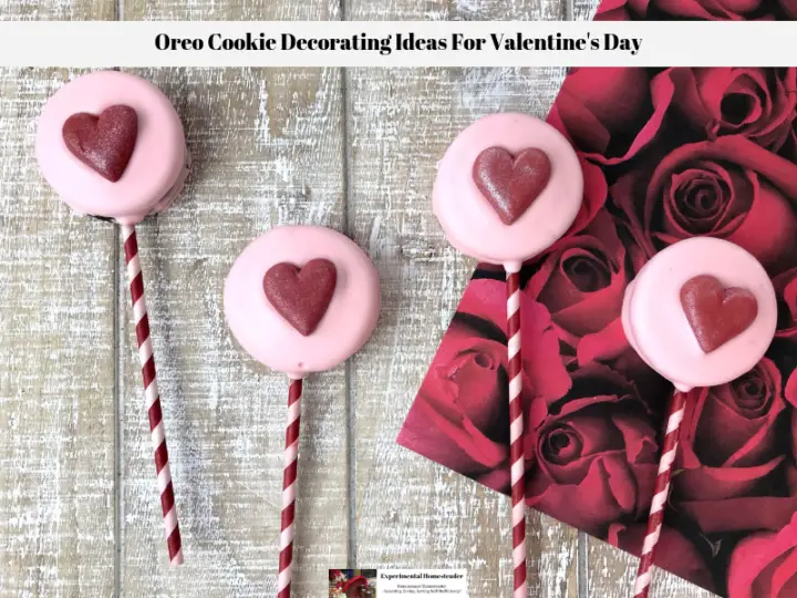 Oreo Cookie Decorating Ideas For Valentine's Day - Experimental Homesteader