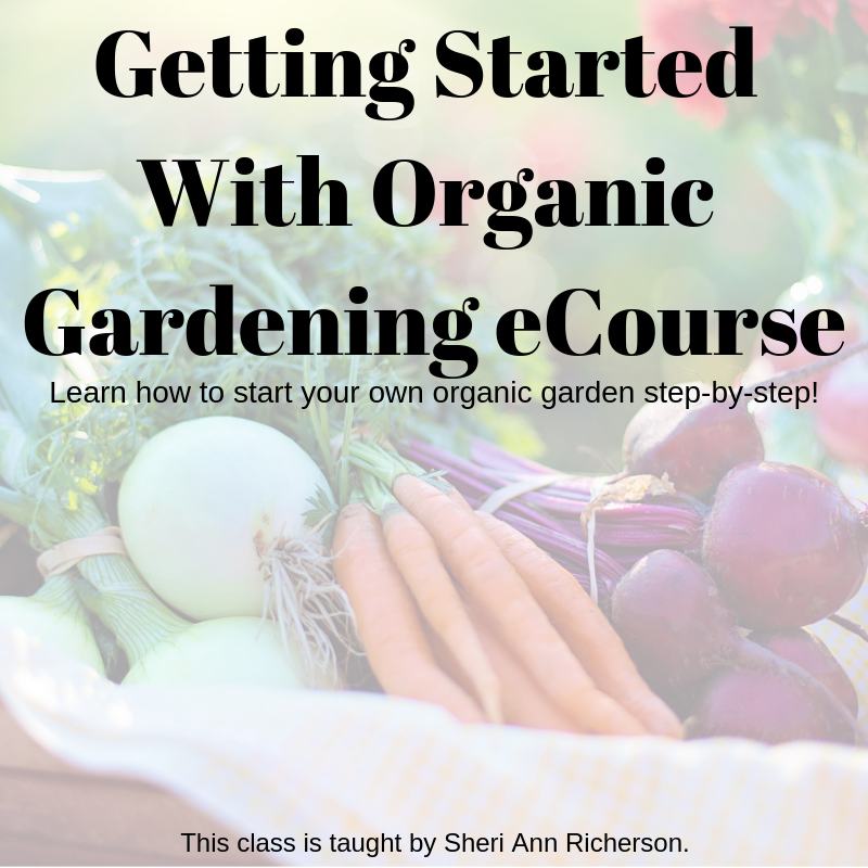 Learn more about the organic gardening ecourse taught by Sheri Ann Richerson.