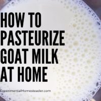 How To Pasteurize Goat Milk At Home