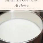 Goat milk in a stainless steel pan.