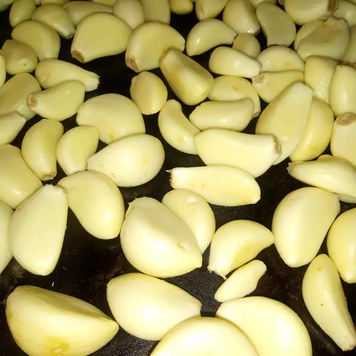 The raw peeled garlic cloves on a cookie sheet.