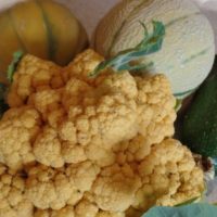 Bloom! Make Gardening Part of your Preparedness Plan