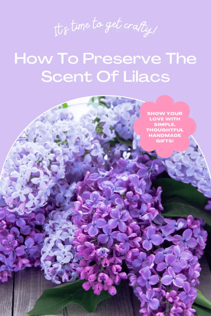 How To Preserve The Scent Of Lilacs Experimental Homesteader