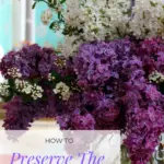 Various colored lilacs in a vase.