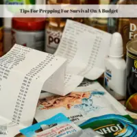 Tips For Prepping For Survival On A Budget - Experimental Homesteader