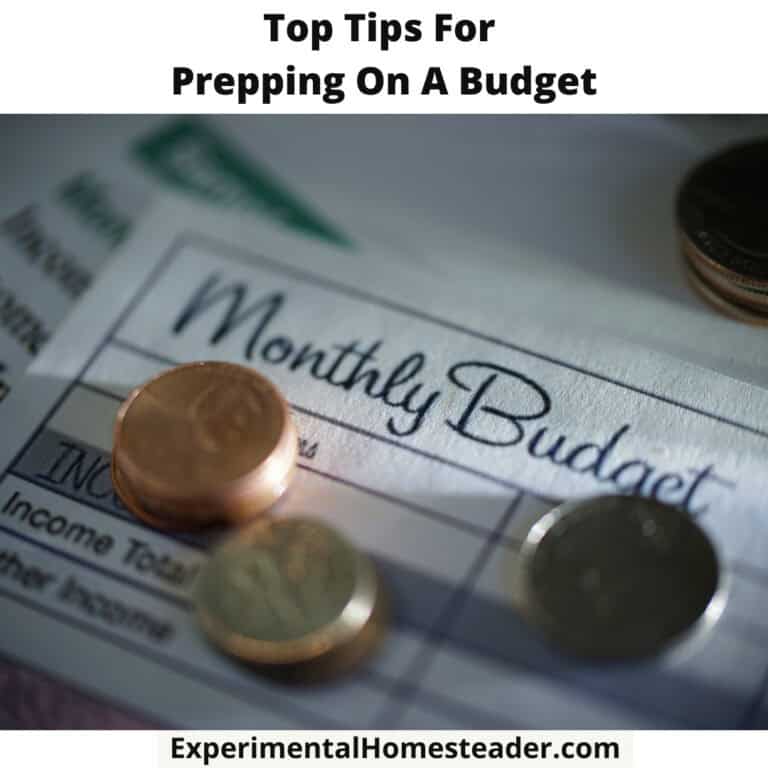 Affordable budgeting tips for homesteaders on a tight budget.