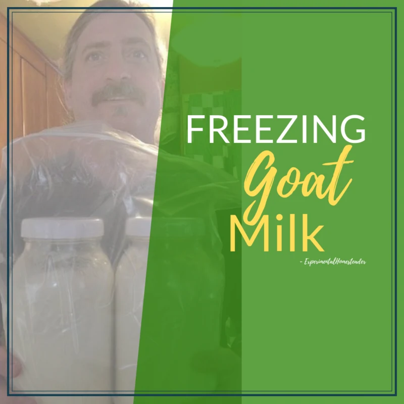 Jeffrey holding frozen jars of goat milk.