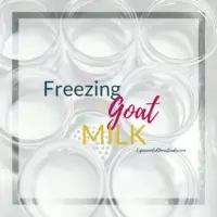 How To Start Freezing Goat Milk