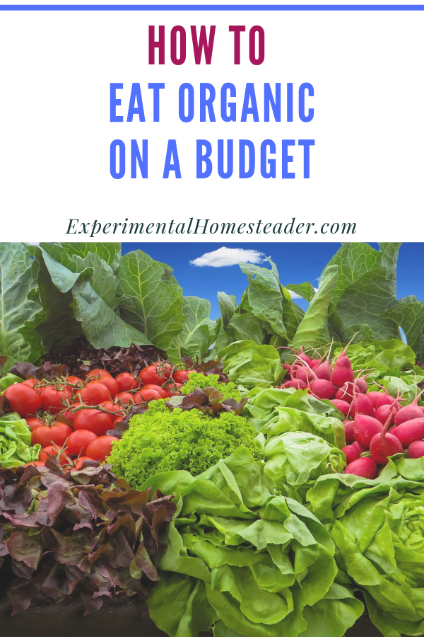 Fresh organic produce at a market.