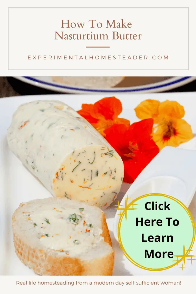 How To Make Nasturtium Butter Experimental Homesteader
