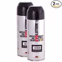 Fast Dry, Low Odor, Low VOC - Acrylic Spray Paint Pintyplus Evolution - Pack of 2 (Gloss Jet Black)