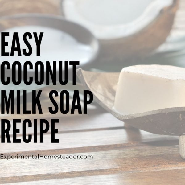 Easy Coconut Milk Soap Recipe Experimental Homesteader
