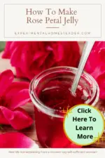 How To Make Rose Petal Jelly - Experimental Homesteader