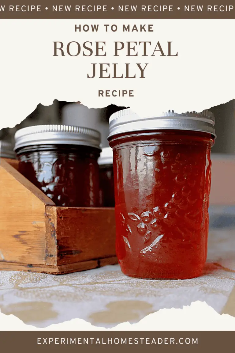 How To Make Rose Petal Jelly Experimental Homesteader