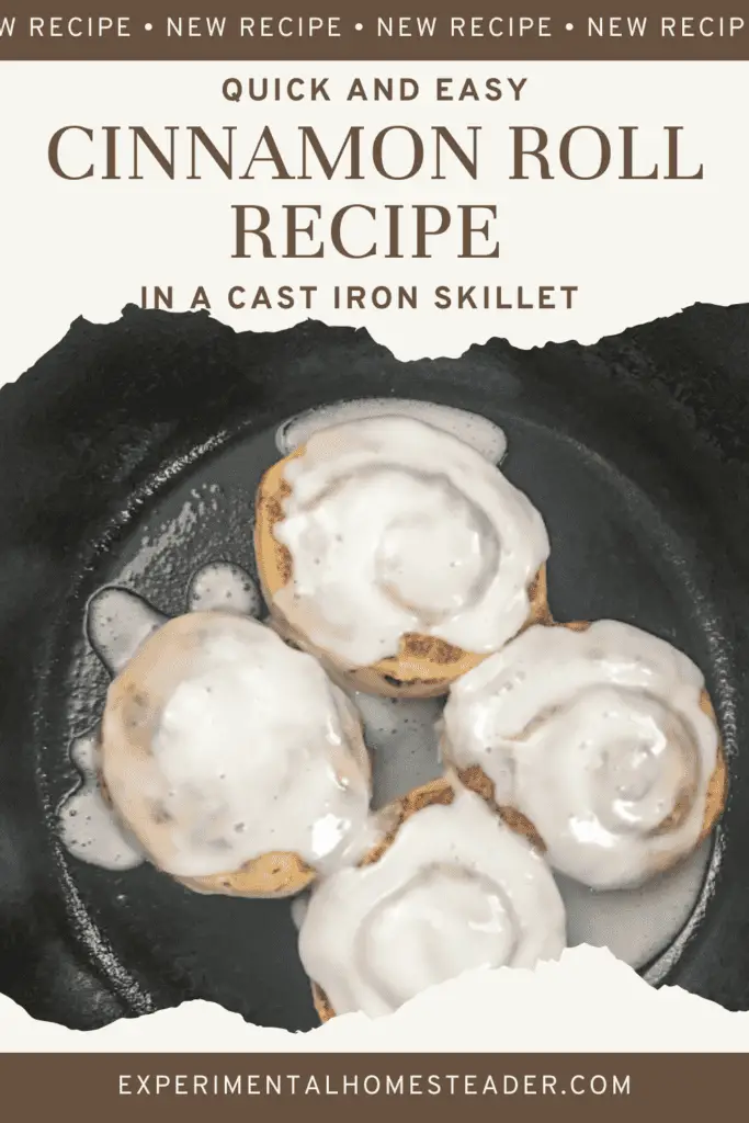 Quick And Easy Cast Iron Skillet Cinnamon Roll Recipe Experimental
