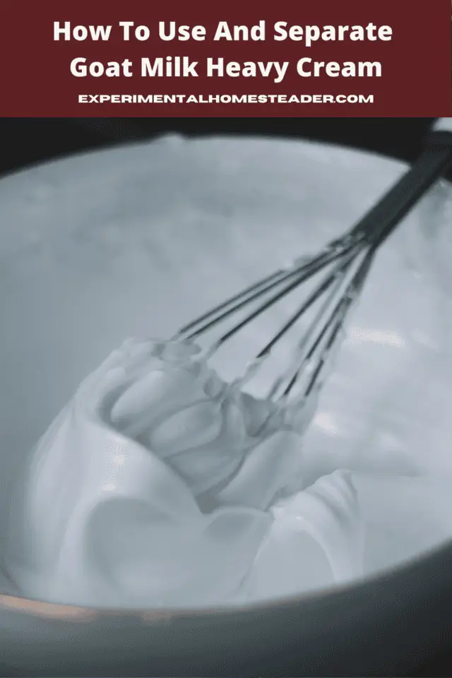 How To Use And Separate Goat Milk Heavy Cream Experimental Homesteader