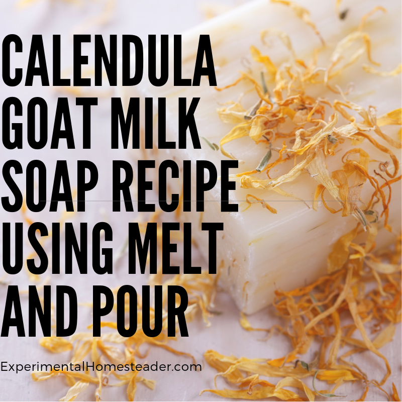 Goat milk soap with calendula flowers.